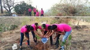 CSR Tree Plantation Activities In Pune with Nelda