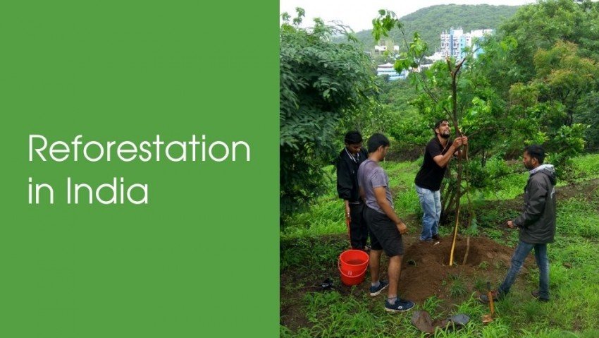 Reforestation In India