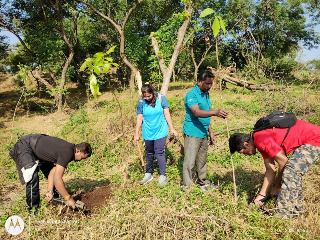 Nelda Tree Plantation NGO