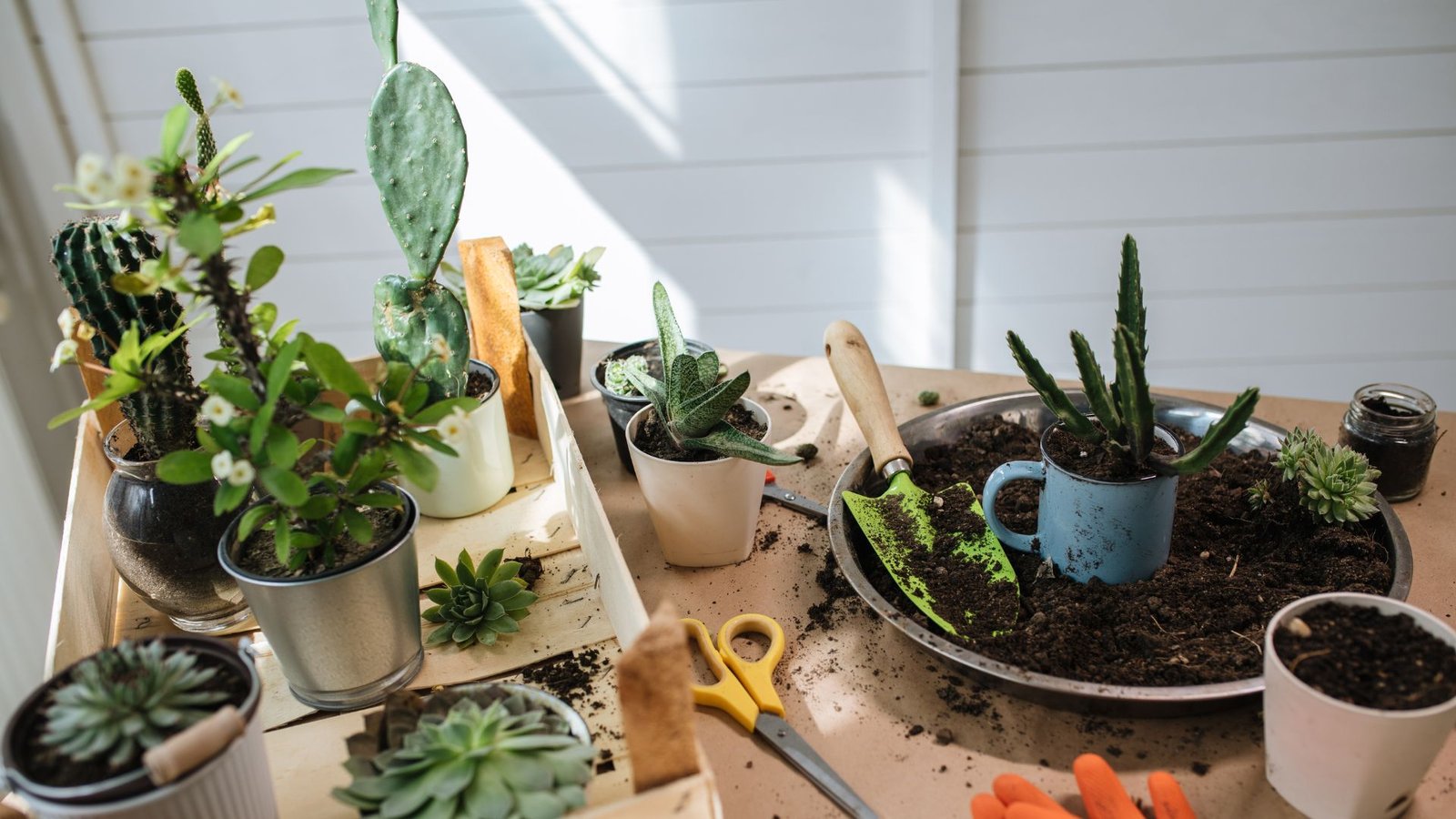 50 Sustainable Living Practices You Need In Your Daily Life 50 Sustainable Living Practices You Need In Your Daily Life